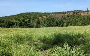 10117m² Hotel in Saint Paul, Dominica No. 38