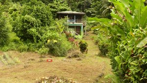 19304m² Land in Rosalie, Dominica No. 41