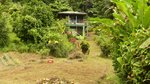19304m² Land in Rosalie, Dominica No. 41 - land in Dominica