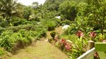 19304m² Land in Rosalie, Dominica No. 41 - Image 19