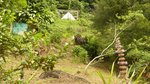 19304m² Land in Rosalie, Dominica No. 41 - Image 20