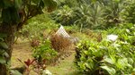 19304m² Land in Rosalie, Dominica No. 41 - Image 21