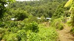 19304m² Land in Rosalie, Dominica No. 41 - Image 22