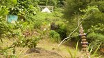 19304m² Land in Rosalie, Dominica No. 41 - Image 25