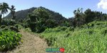 39943m² Hotel in Saint Joseph, Dominica No. 49 - Image 5