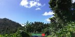 39943m² Hotel in Saint Joseph, Dominica No. 49 - Image 7