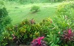 10 bedrooms Land in Saint David, Dominica No. 54 - Image 17