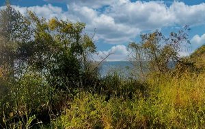 6637m² Hotel in Saint Joseph, Dominica No. 57