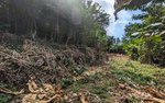 2591m² Hotel in Loubiere, Dominica No. 7 - Image 6