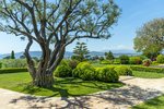 7 bedrooms Villa in Antibes, France No. 1447 - Image 8
