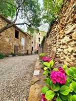 7 bedrooms House in Pezenas, France No. 16998 - Image 3