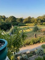 5 bedrooms Commercial property in Dordogne, France No. 1952 - Image 5