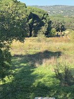 200m² Commercial property in Le Plan-de-la-Tour, France No. 2030 - Image 2