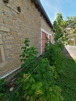 3 bedrooms House in Senozan, France No. 203242 - Image 13