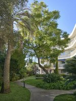 5 bedrooms Apartment in Antibes, France No. 2044 - Image 3