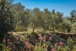 Commercial property in Bandol, France No. 813 - Image 4