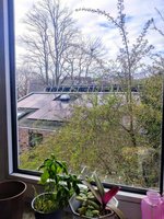 7 rooms Apartment in Eimsbuttel, Germany No. 111589 - Image 7