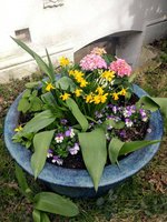 7 rooms Apartment in Eimsbuttel, Germany No. 111589 - Image 16