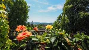 7 bedrooms Townhouse in Goppingen, Germany No. 114478