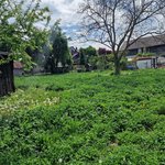 5 bedrooms House in Ortenaukreis, Germany No. 116019 - Image 7