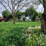 5 bedrooms House in Ortenaukreis, Germany No. 116019 - Image 9