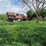 5 bedrooms House in Ortenaukreis, Germany No. 116019 - Image 10