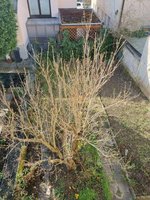 4 bedrooms Townhouse in Rems-Murr-Kreis, Germany No. 116832 - Image 9