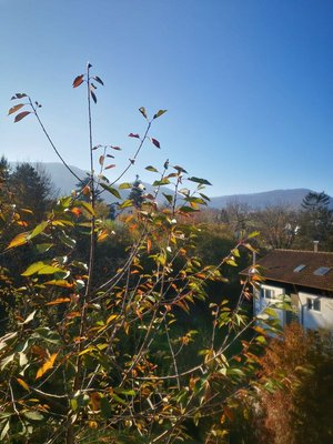 4 bedrooms Townhouse in Esslingen, Germany No. 117002