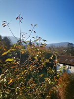 4 bedrooms Townhouse in Esslingen, Germany No. 117002 - townhouse in Germany