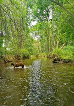 4 bedrooms Farm in Neu-Ulm, Germany No. 124725 - Image 16