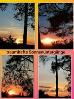 2 rooms House in Gotha, Germany No. 131424 - Image 33