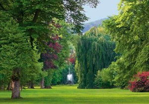 4 bedrooms Villa in Baden-Baden, Germany No. 13407