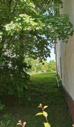 10 rooms Farm in Leipzig, Germany No. 142318 - Image 5