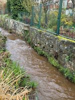 Land in Hameln-Pyrmont, Germany No. 172069 - Image 6