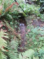 2 rooms Bungalow in Gotha, Germany No. 182956 - Image 12