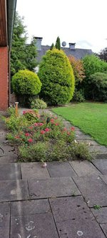 3 bedrooms Bungalow in Unna, Germany No. 204213 - Image 17