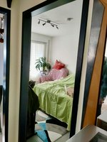 1 bedroom Apartment in Nordsachsen, Germany No. 210141 - Image 22