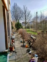 1 bedroom Apartment in Nordsachsen, Germany No. 210141 - Image 29