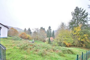 Land in Bergstrase, Germany No. 211876