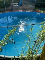 6 rooms House in Hof, Germany No. 213984 - Image 7