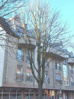 1 bedroom Duplex in Cologne, Germany No. 214062 - Image 2