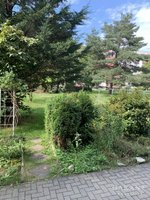 2 rooms Apartment in Dresden, Germany No. 696 - Image 2