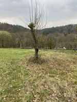 Land in Rems-Murr-Kreis, Germany No. 737 - Image 2