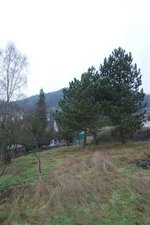 4 bedrooms Townhouse in Merzig-Wadern, Germany No. 88163 - Image 18