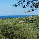 Hotel in Zakynthos, Greece No. 8532 - Image 2