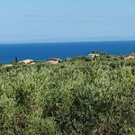 Hotel in Zakynthos, Greece No. 8532 - Image 5