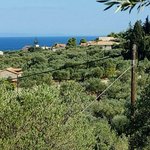 Hotel in Zakynthos, Greece No. 8532 - Image 6