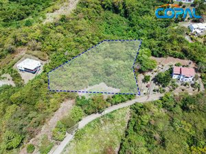 3429.61m² Hotel in Saint George South, Grenada No. 10