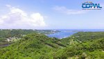 6782.2m² Hotel in Mount Hartman, Grenada No. 17 - Image 5