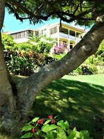 5 bedrooms Villa in Saint David’s, Grenada No. 26 - Image 4